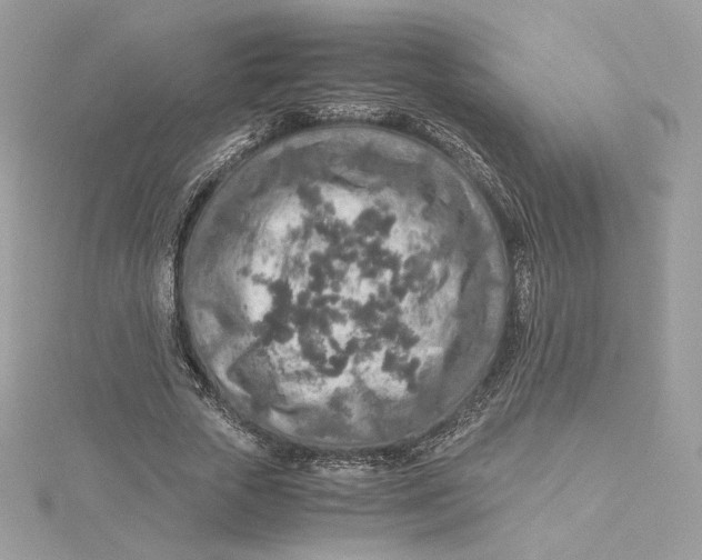 X0000115440729200911251245