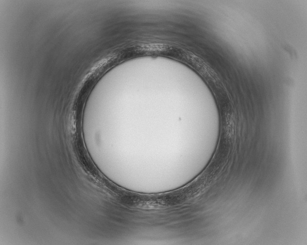X0000115440731200911251245