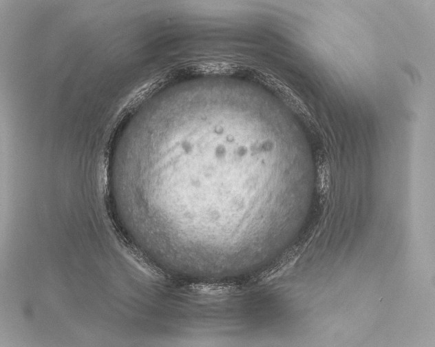 X0000115440733200911251245