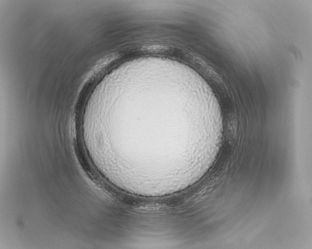 X0000115440734200911251245