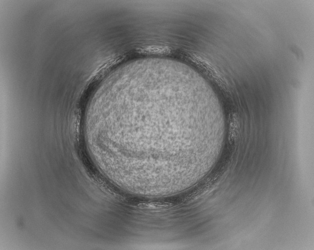 X0000115440739200911251245