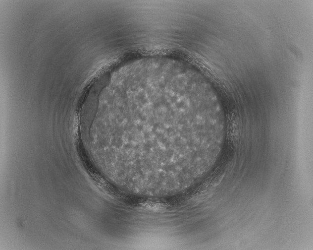 X0000115440742200911251245
