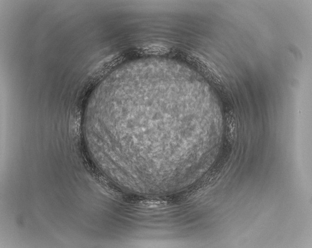 X0000115440745200911251245