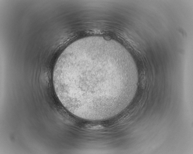 X0000115440747200911251245