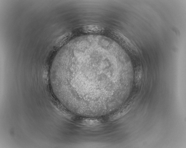 X0000115440749200911251245