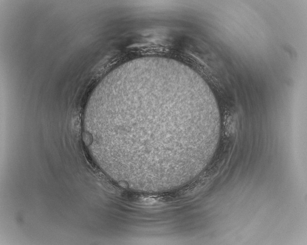 X0000115440753200911251245
