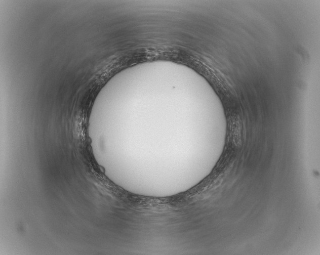 X0000115440770200911251245