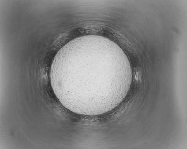 X0000115440771200911251245