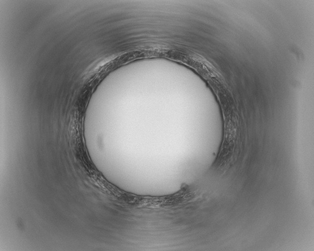 X0000115440773200911251245