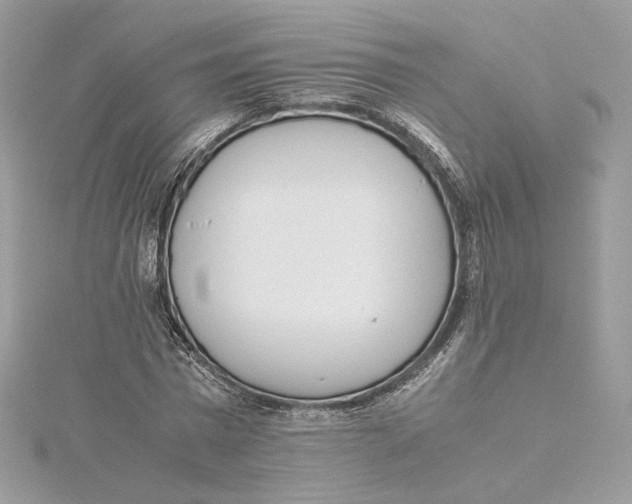 X0000115440777200911251245