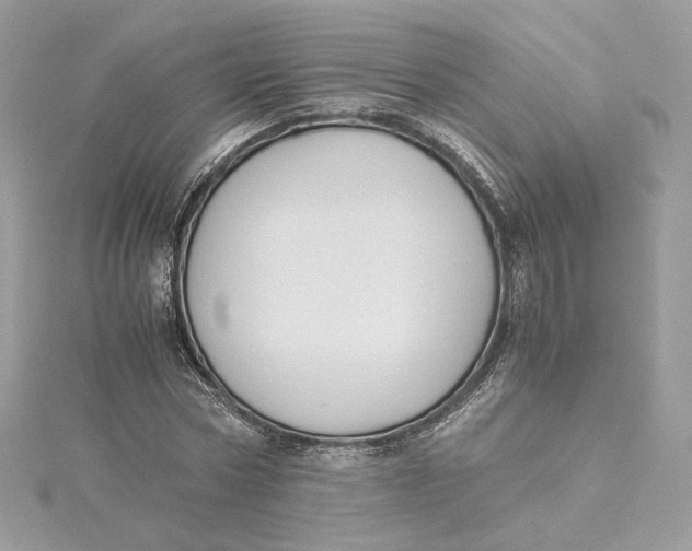 X0000115440778200911251245