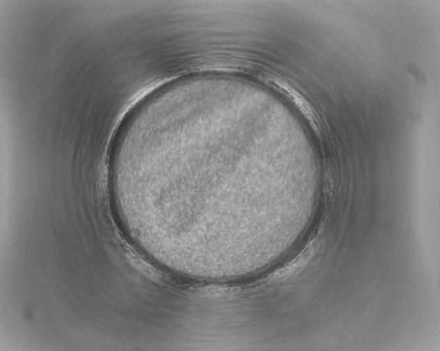 X0000115440779200911251245