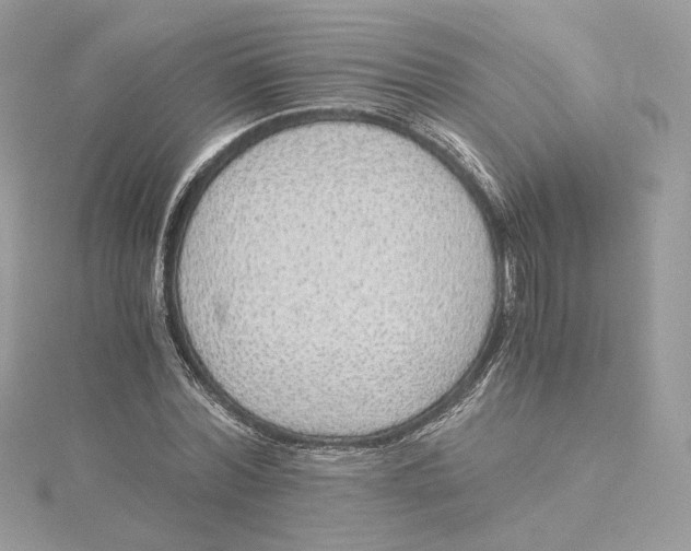 X0000115440780200911251245