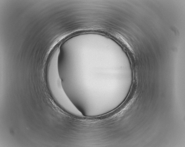 X0000115440781200911251245