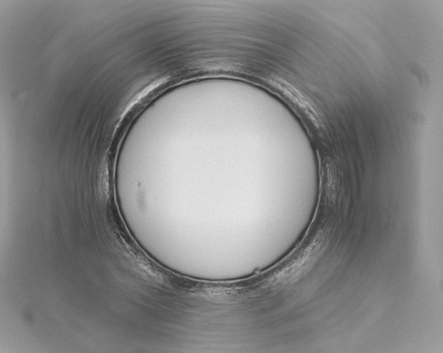 X0000115440782200911251245