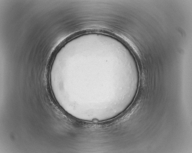 X0000115440783200911251245