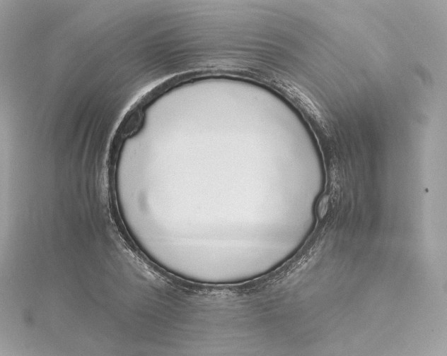 X0000115440784200911251245