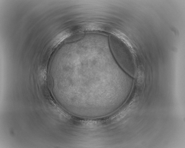 X0000115440785200911251245