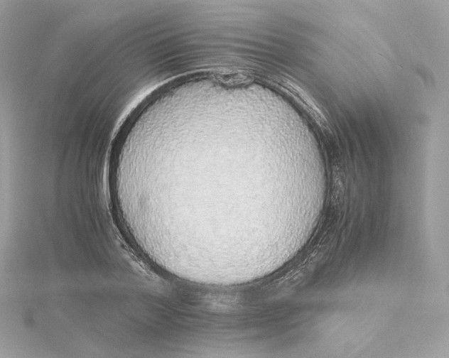 X0000115440788200911251245