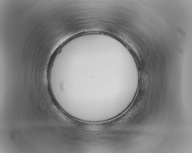 X0000115440789200911251245