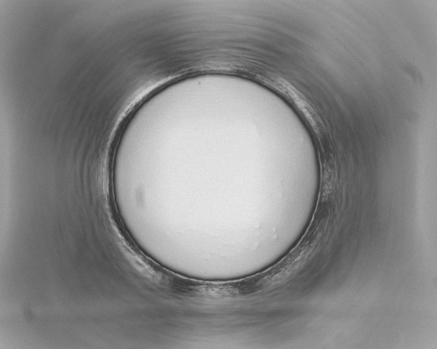 X0000115440795200911251245