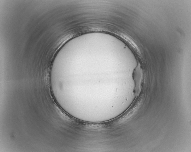 X0000115440801200911251245