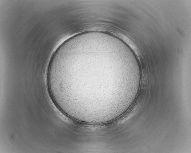 X0000115440803200911251245