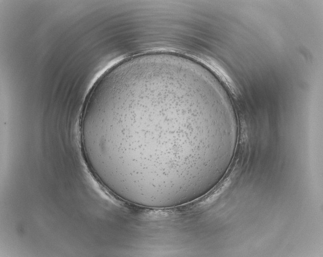 X0000115440806200911251245