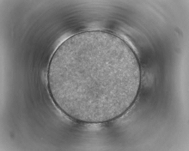 X0000115440810200911251244