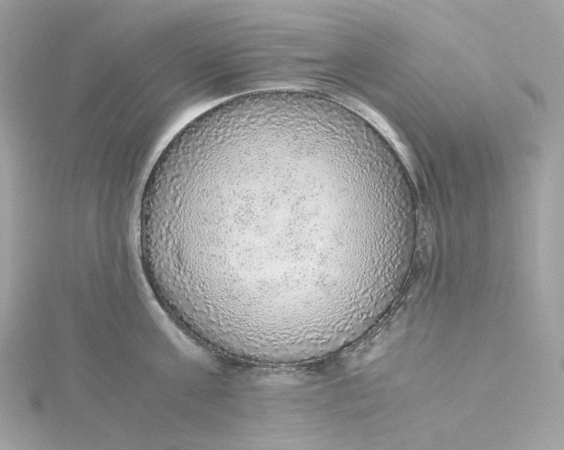 X0000115440811200911251244