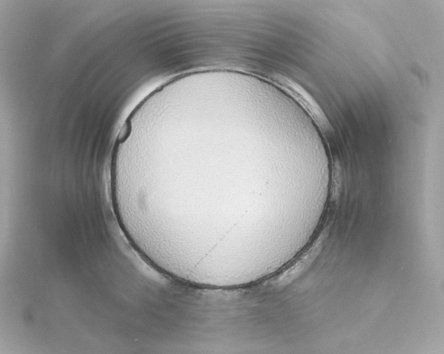 X0000115440812200911251244