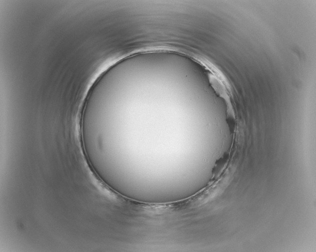 X0000115440813200911251244