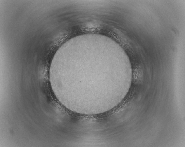 X0000115440820200911251244