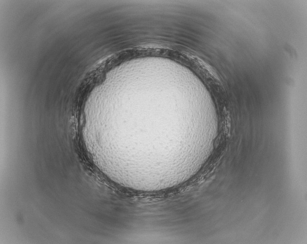 X0000115440821200911251244
