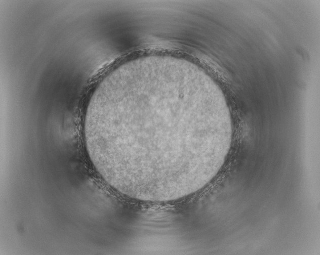 X0000115440824200911251244