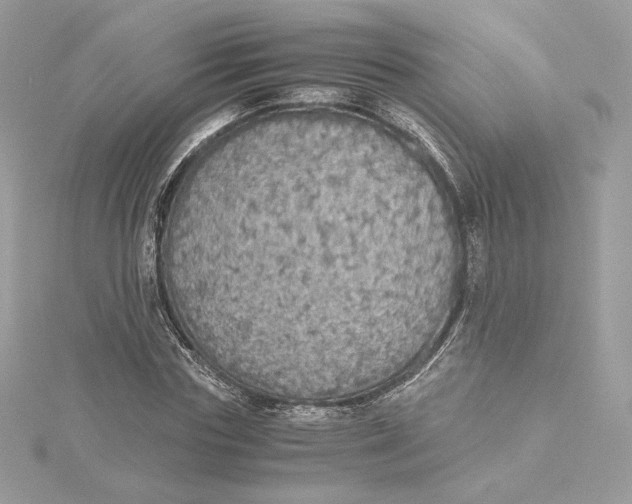 X0000115440827200911251244
