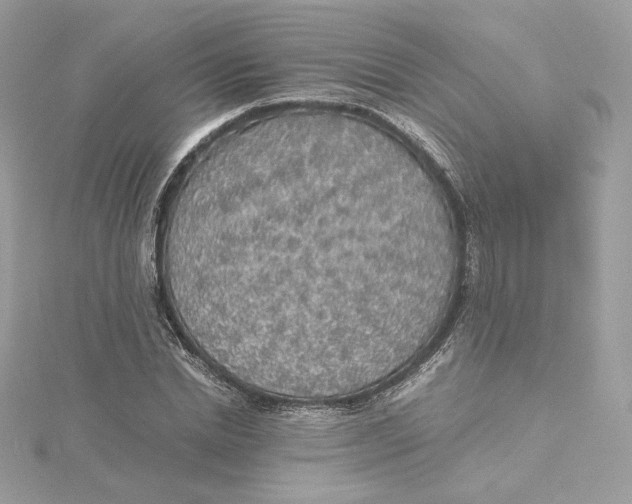 X0000115440830200911251244