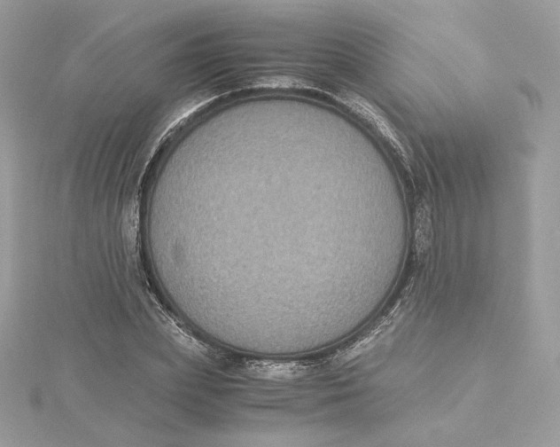 X0000115440831200911251244
