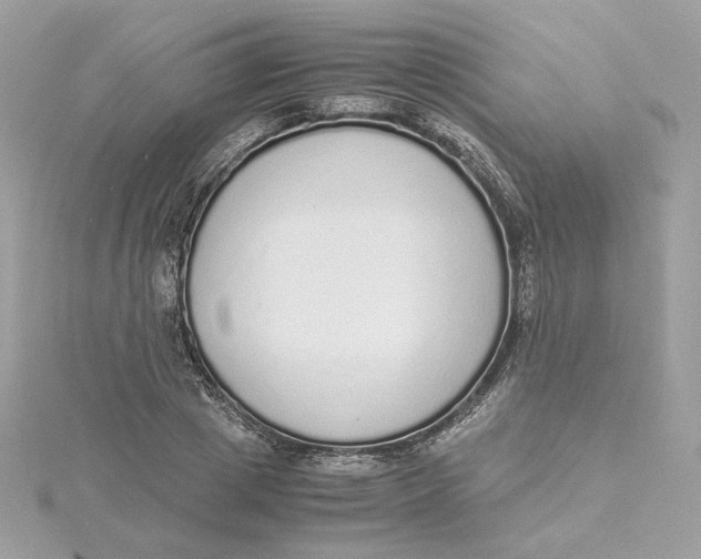 X0000115440833200911251244