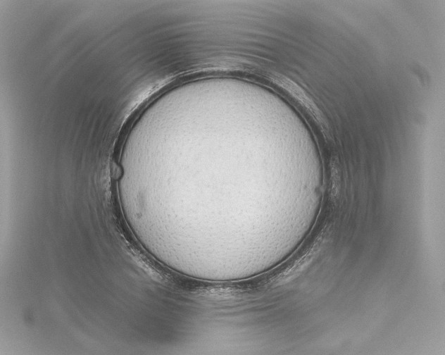 X0000115440834200911251244