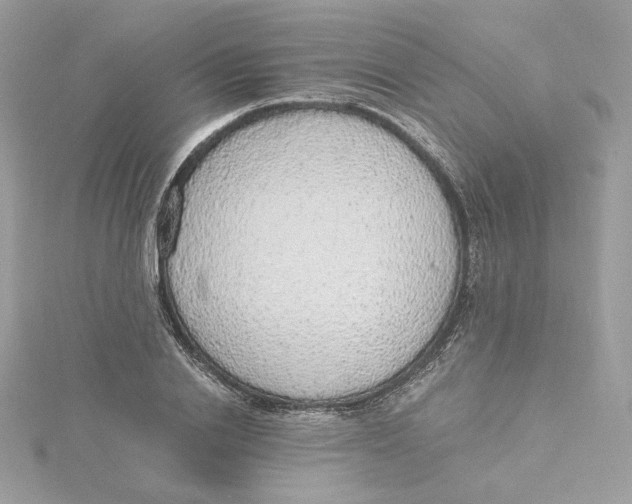 X0000115440838200911251244