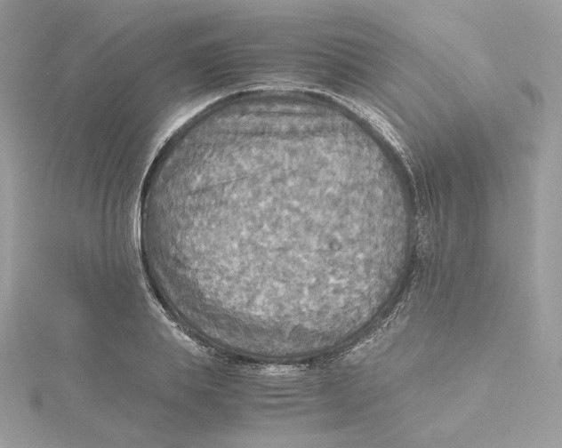 X0000115440839200911251244
