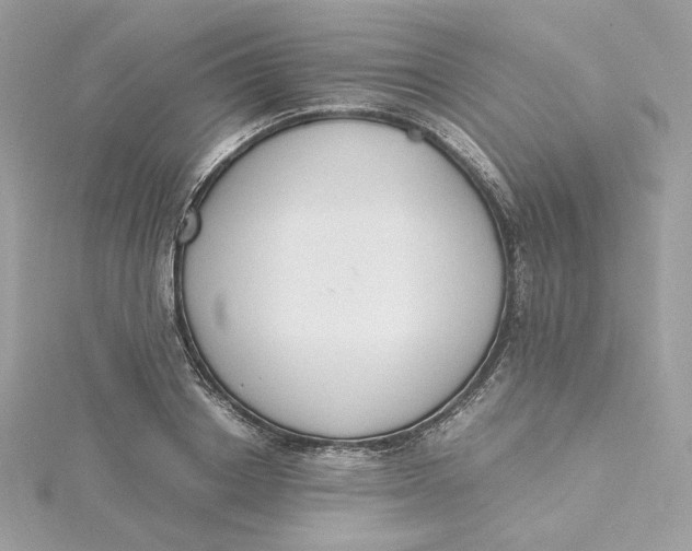 X0000115440842200911251244