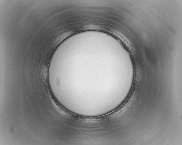 X0000115440849200911251244