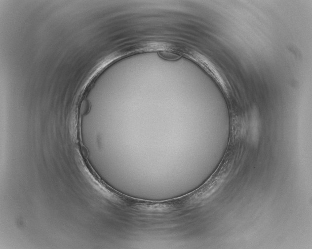 X0000115440851200911251244