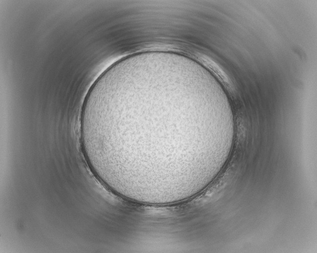 X0000115440852200911251244