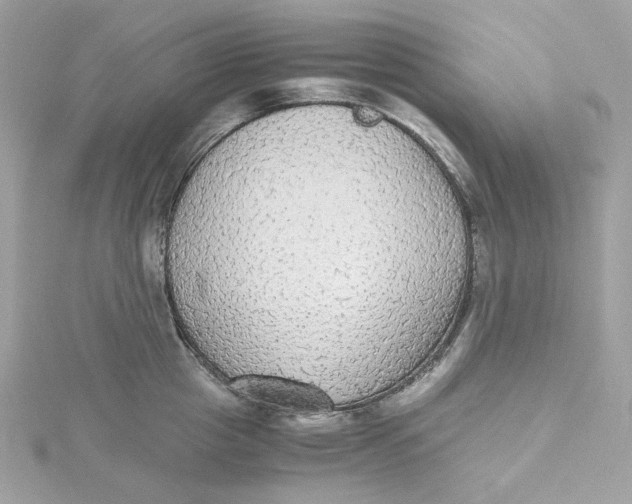X0000115440857200911251244