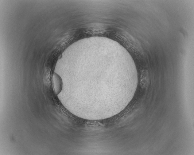 X0000115440866200911251244