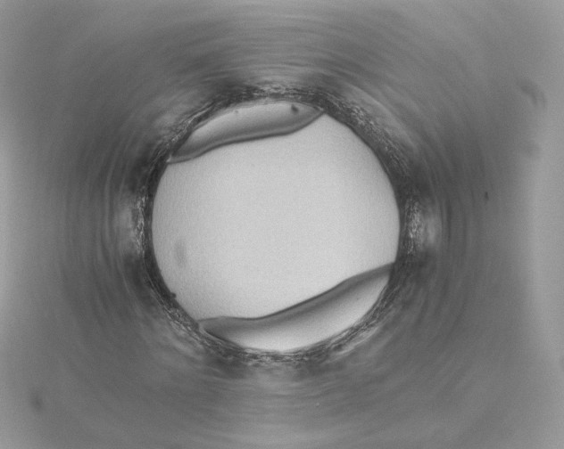 X0000115440868200911251244