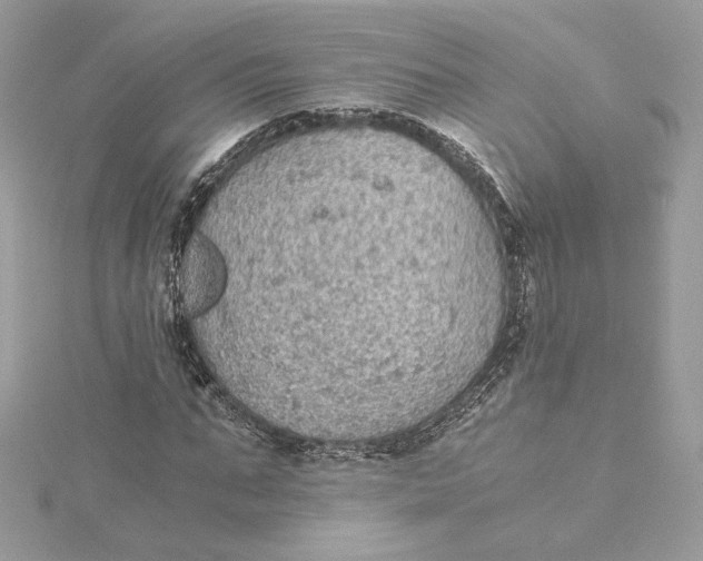 X0000115440871200911251244